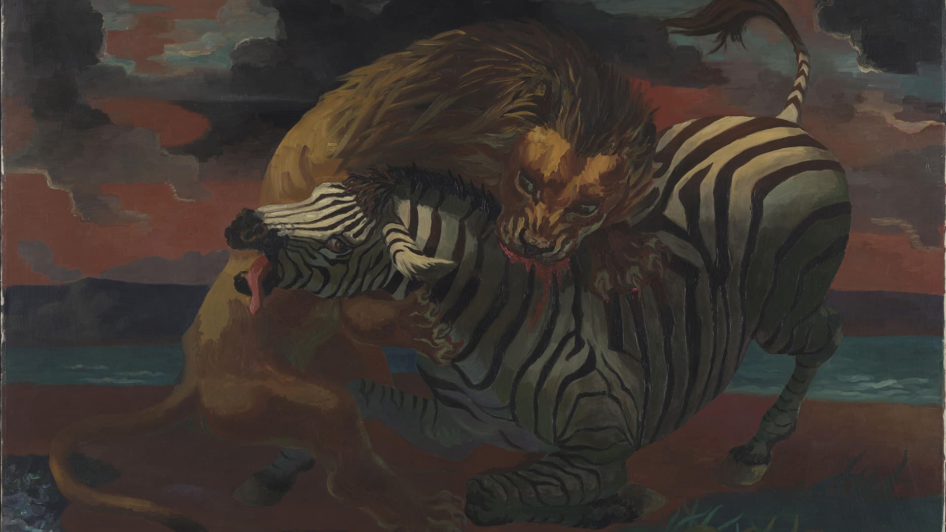 Lion and Zebra — Borchgrevink